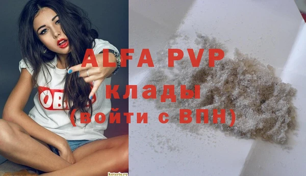 apvp Верея